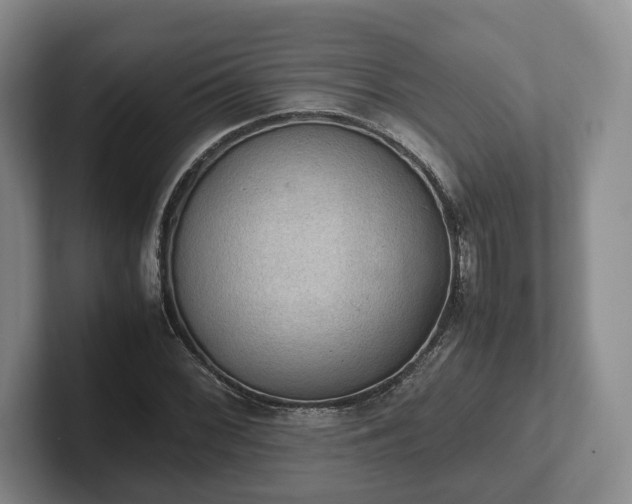 X0000102391068200808081222