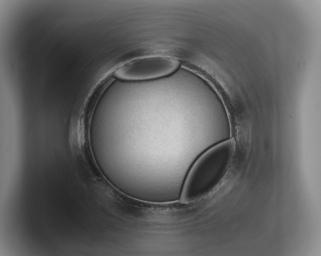 X0000102391069200808081222