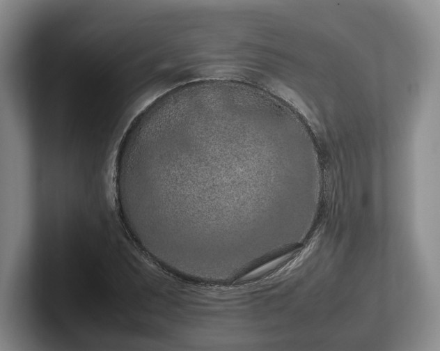 X0000102391071200808081222