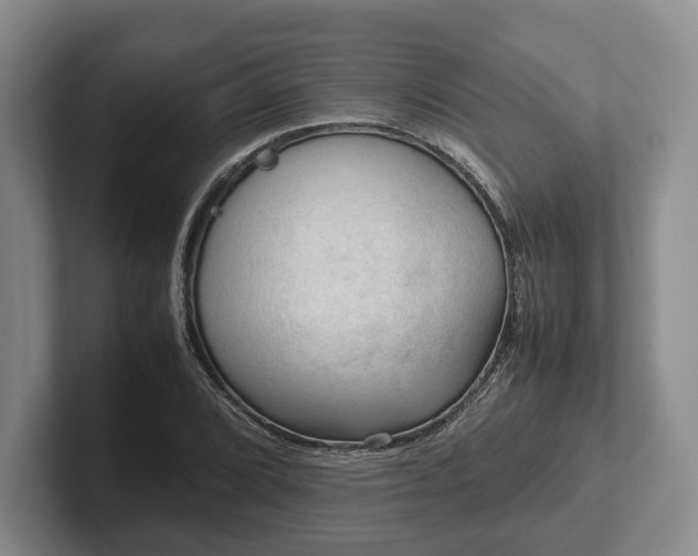 X0000102391072200808081222