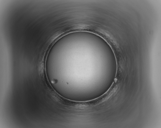 X0000102391073200808081222