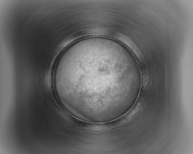 X0000102391074200808081222