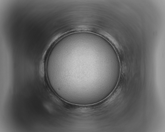 X0000102391075200808081222