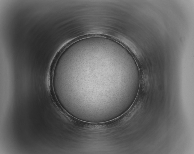 X0000102391076200808081222