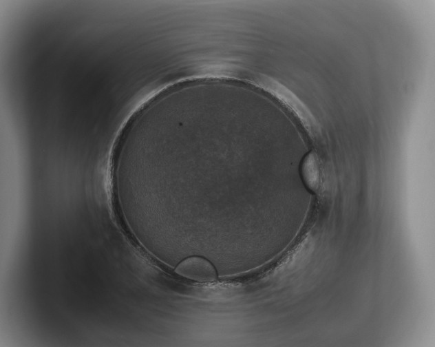 X0000102391077200808081222