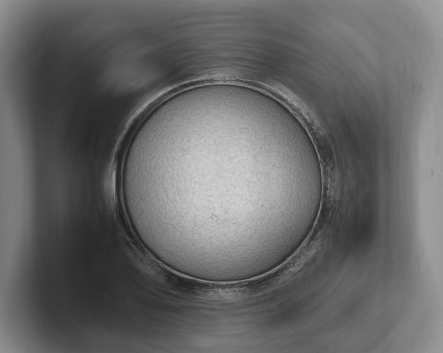 X0000102391078200808081222