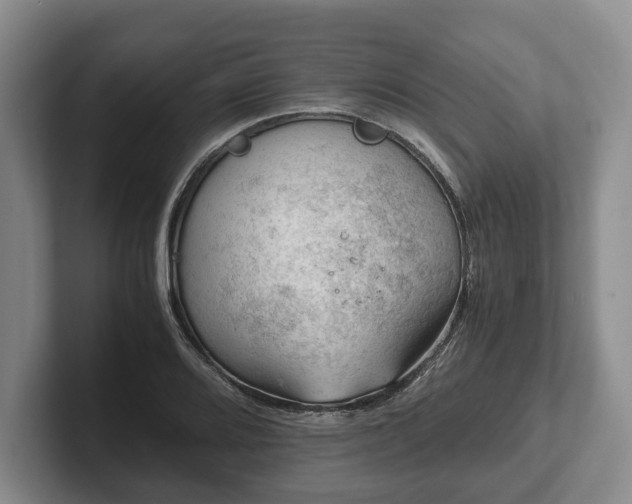 X0000102391080200808081222