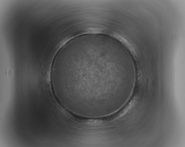 X0000102391081200808081222