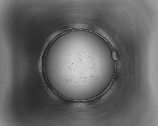 X0000102391082200808081222