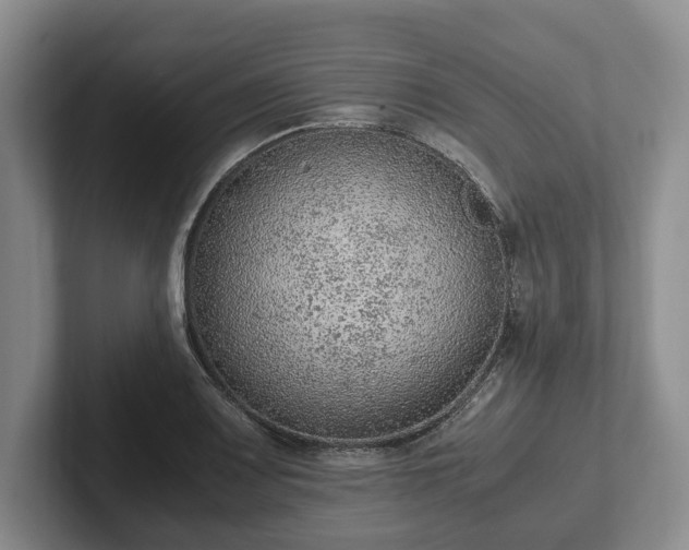 X0000102391083200808081222