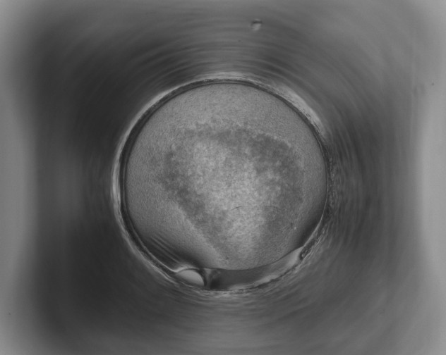 X0000102391084200808081222