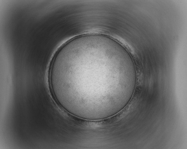 X0000102391086200808081222