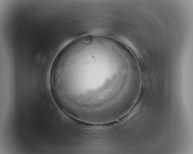 X0000102391087200808081222