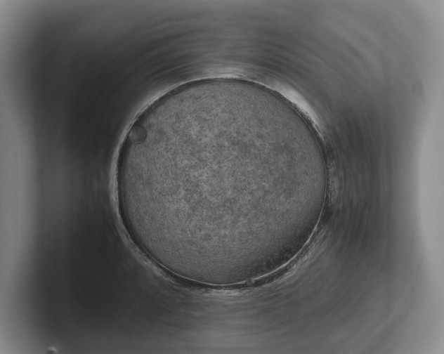 X0000102391088200808081222