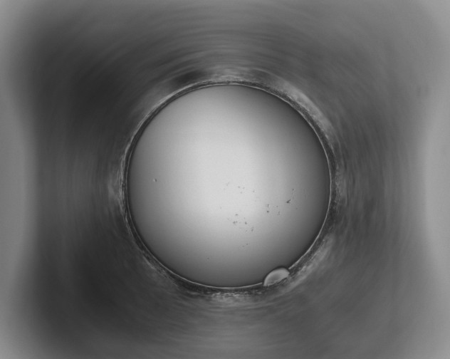 X0000102391089200808081222