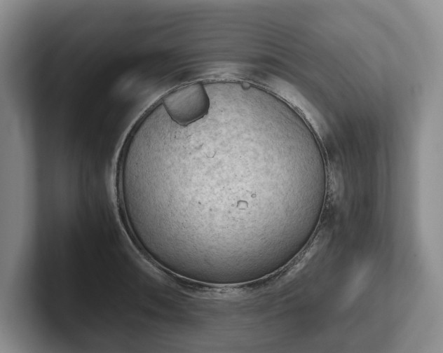 X0000102391090200808081222