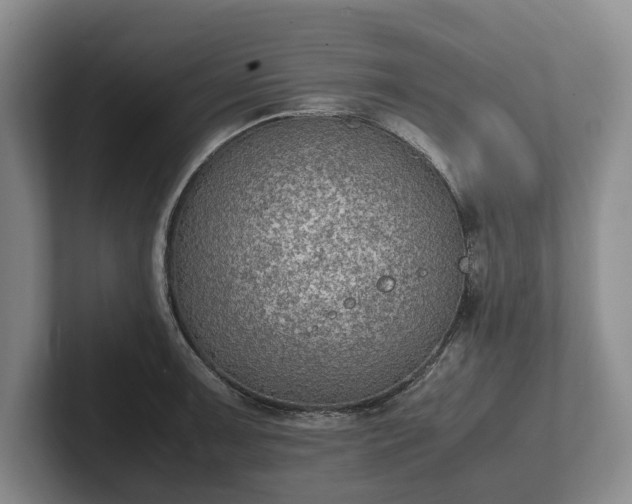 X0000102391091200808081222