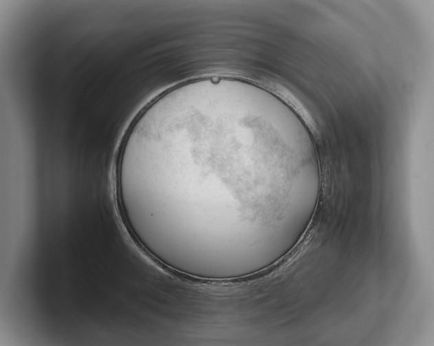 X0000102391092200808081222