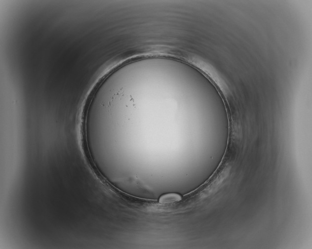 X0000102391093200808081222