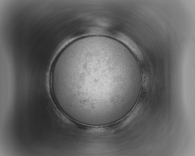 X0000102391094200808081222