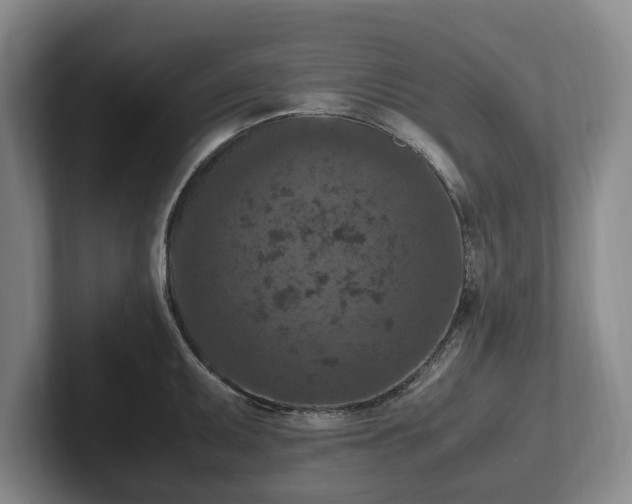 X0000102391095200808081222