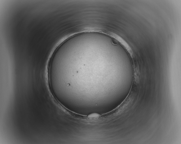 X0000102391096200808081222