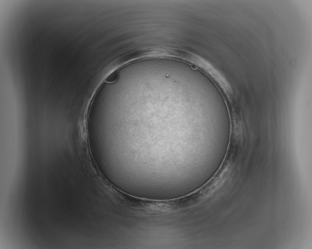 X0000102391097200808081222