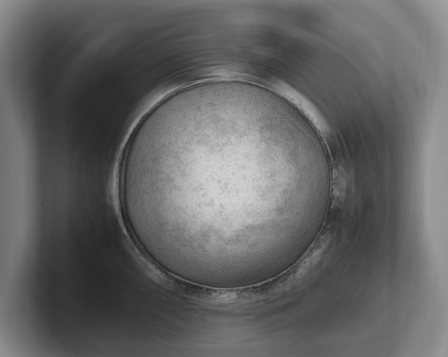 X0000102391098200808081222