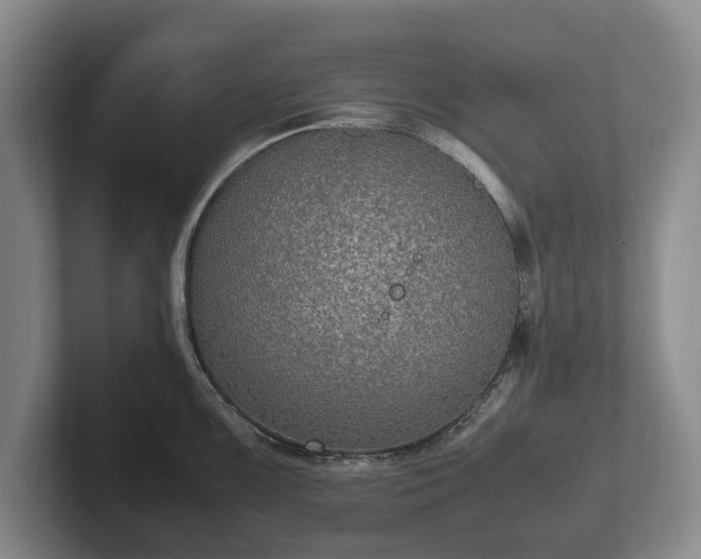 X0000102391099200808081222