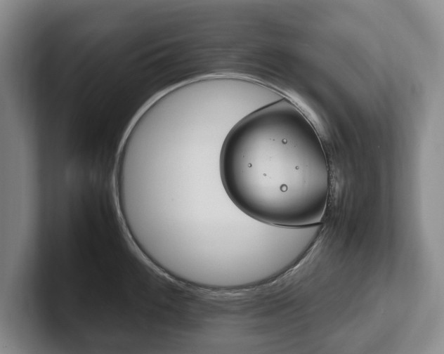 X0000102391100200808081222