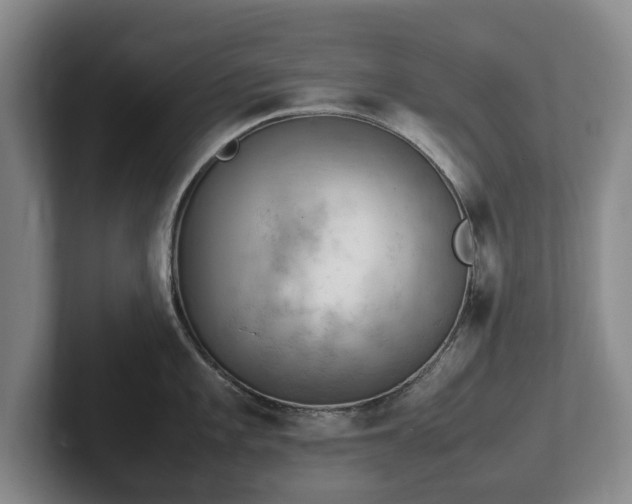 X0000102391101200808081222