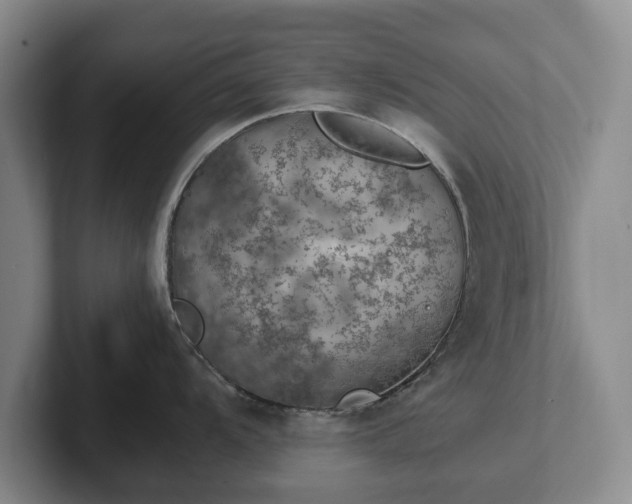 X0000102391104200808081222