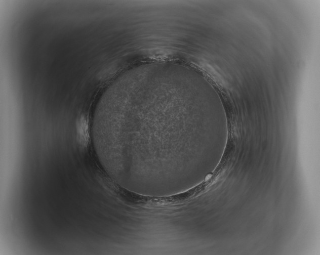 X0000102391106200808081221