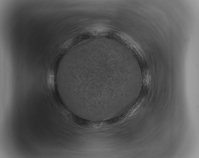 X0000102391108200808081221