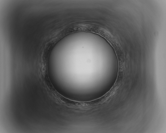 X0000102391109200808081221