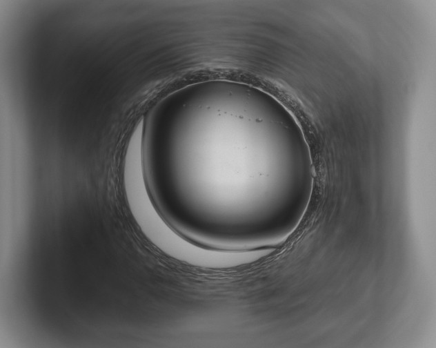 X0000102391110200808081221