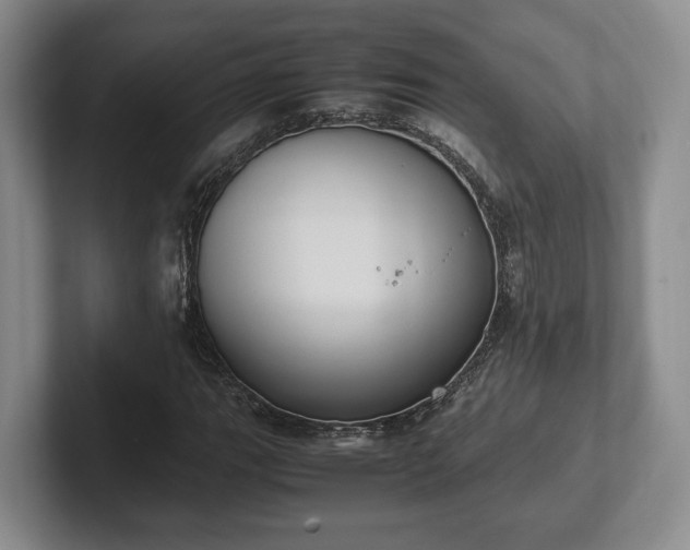 X0000102391111200808081221