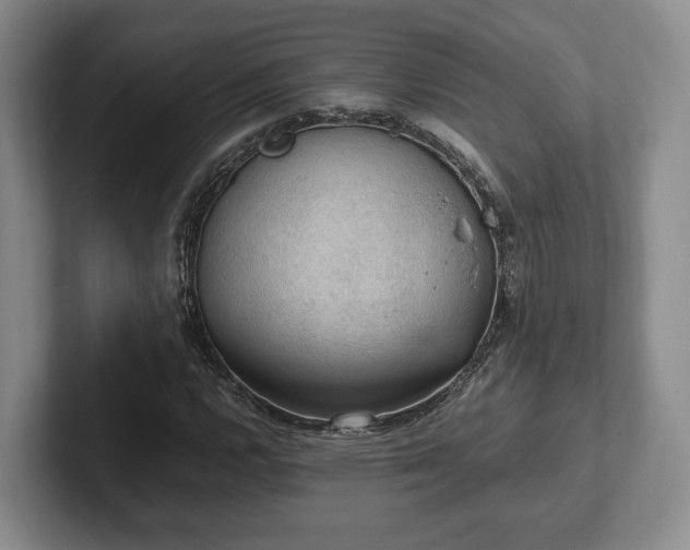 X0000102391112200808081221