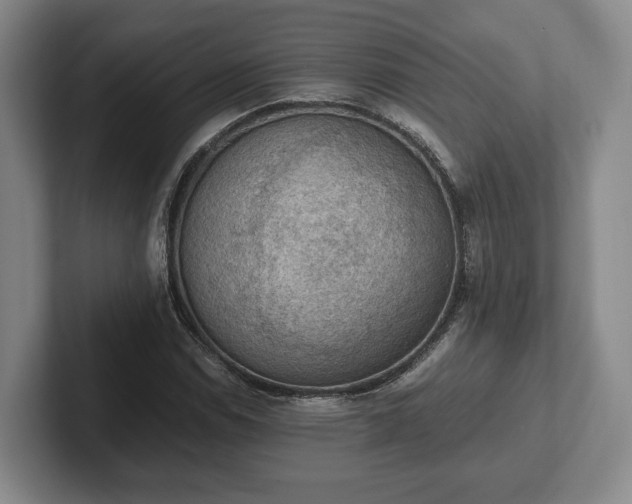 X0000102391114200808081221