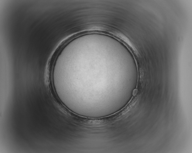 X0000102391116200808081221