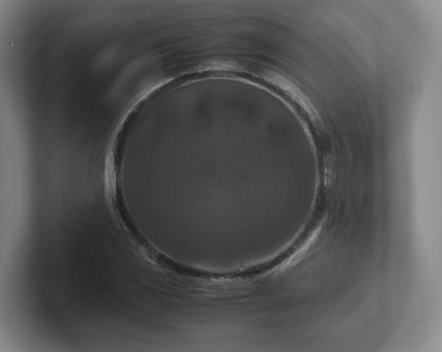 X0000102391117200808081221