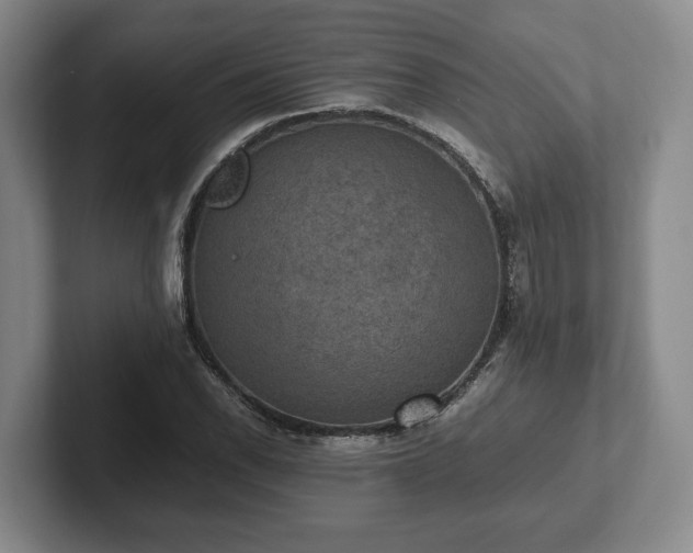 X0000102391118200808081221