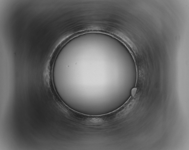 X0000102391119200808081221