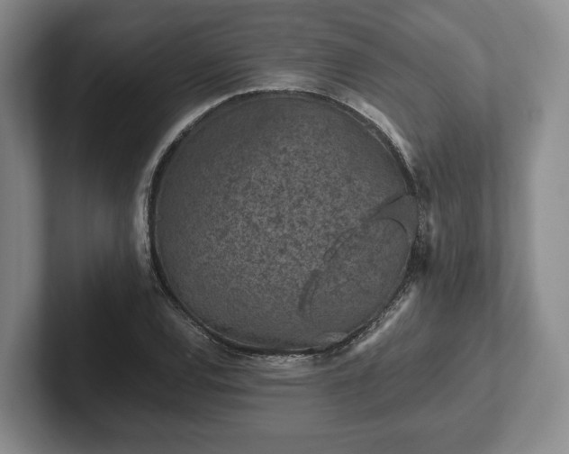 X0000102391120200808081221