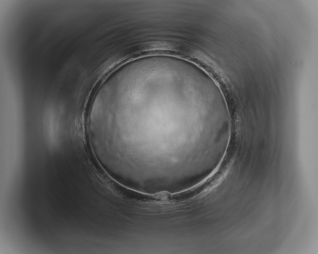 X0000102391121200808081221