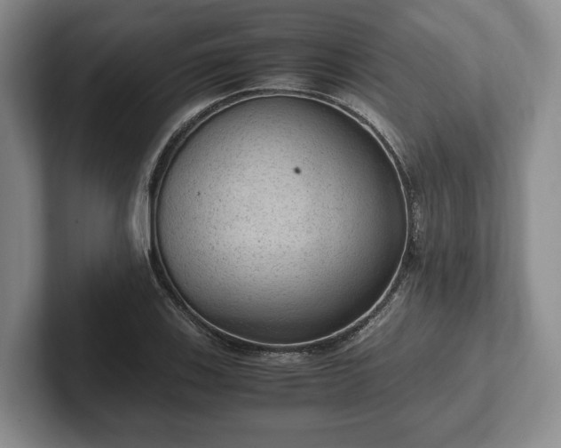 X0000102391123200808081222