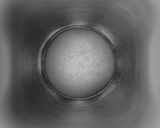 X0000102391124200808081222