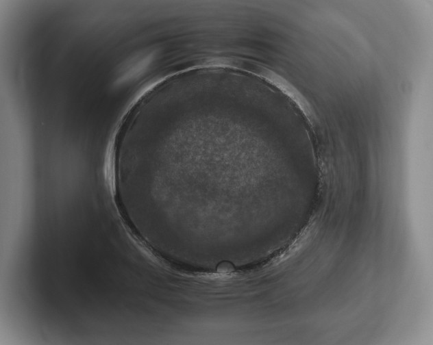 X0000102391127200808081222