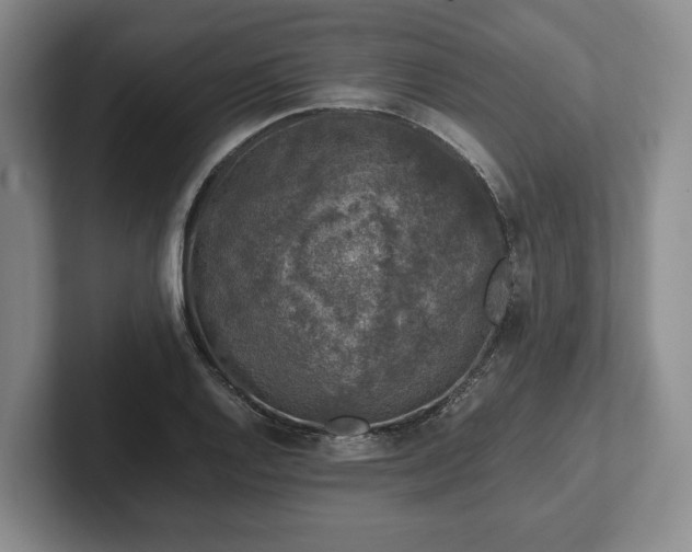 X0000102391128200808081222