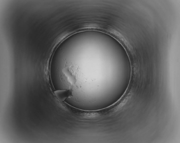 X0000102391129200808081222